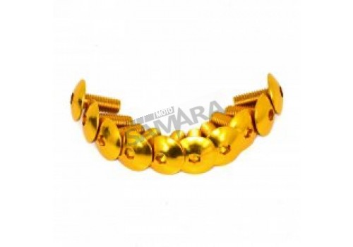 Βίδες αλουμινίου 6x10mm GOLD