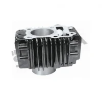 Κύλινδρος για KAWASAKI ZX 130 / MODENAS X-CITE 135 γνήσιος