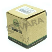 Πιστόνι για BENELLI BN 251 ABS E4/E5 / TRK 251 E4/E5 / LEONCINO 250 E5 γνήσιο